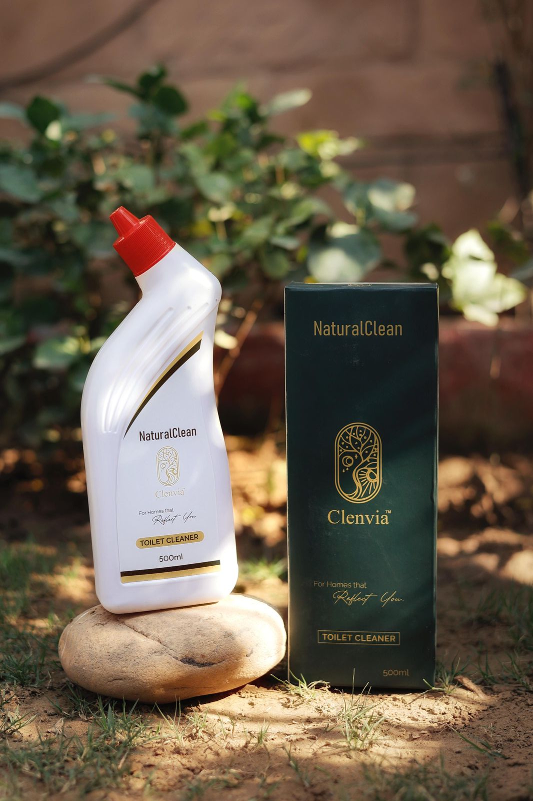 Toilet Cleaner - The Purifying Ritual